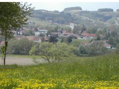 Ortsansicht im Frühling