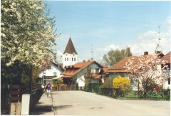 Hunderdorf im Frühling
