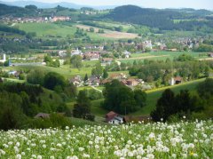 Frühsommer
