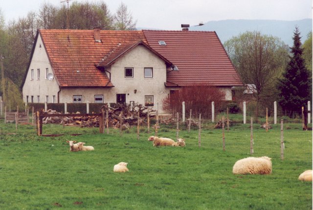 Mühlhiaslmühle mit Schafen