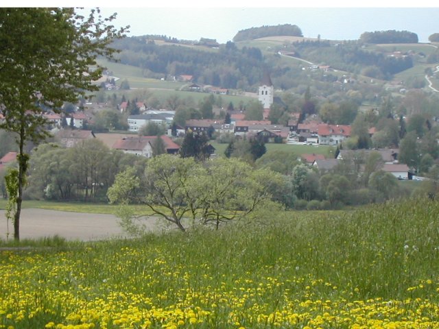Große Darstellung des Bildes