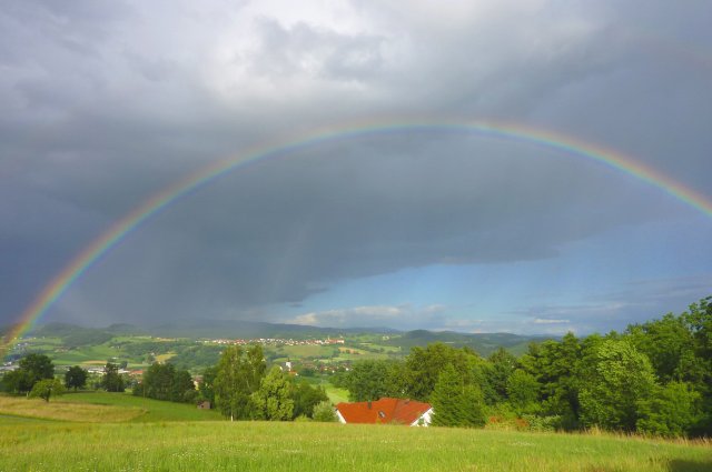 Große Darstellung des Bildes
