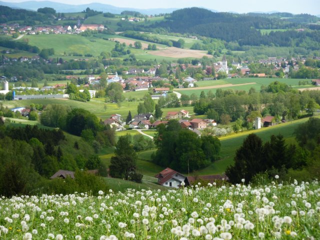Große Darstellung des Bildes