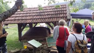 Romantische Sommernacht im Kreisobstlehrgarten Neukirchen/Prünst (2)