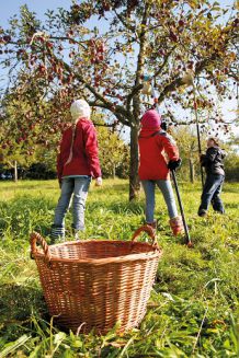 Lageplan Kreisobstlehrgarten (4)