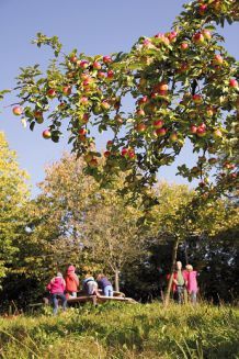 Lageplan Kreisobstlehrgarten (5)