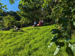 Himmelsliege beim Kreisobstlehrgarten Himmelsliege beim Kreisobstlehrgarten
